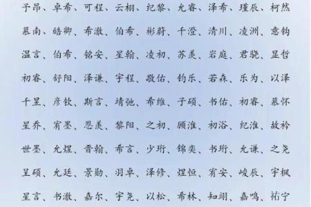 2019年4月29号卯时出生的男孩如何起名姓名
