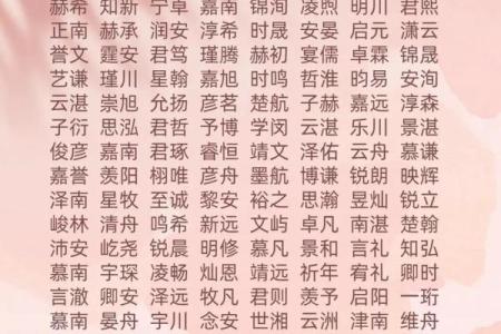 2019年3月23号辰时出生的男孩如何起名姓名
