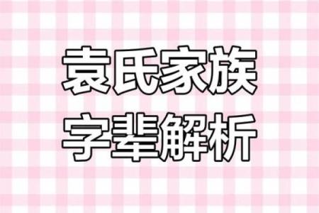 袁氏家族的字辈排行和家谱记载-姓名学-华易网姓名